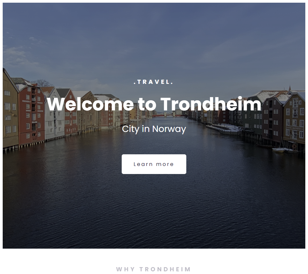 Trondheim travel website preview